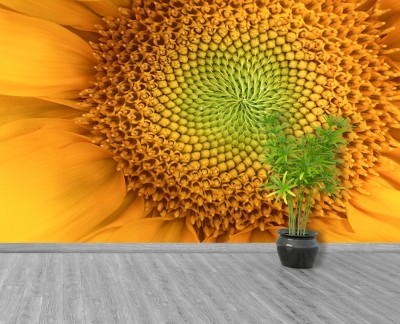 sunflower-vlies