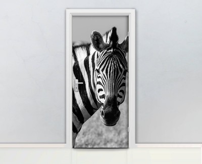 zebra-africa-wild-animal-stripes