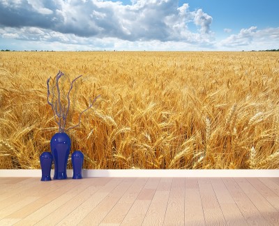 wheat-field