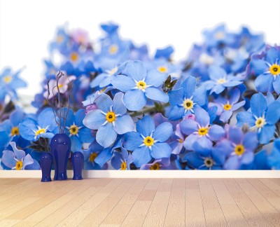forgetmenot-flowers