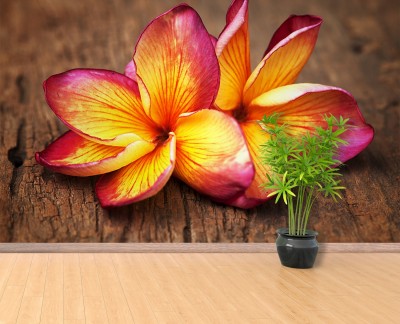 plumeria-wood