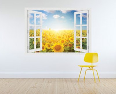 sunflower-field-flowers-yellow-sun-sky
