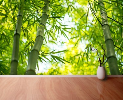 bamboo-branch