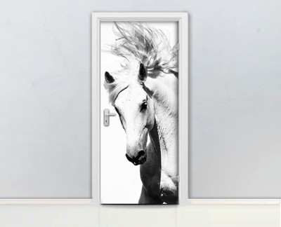 white-horse-wild-head-arab-horses-dynamic