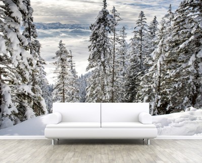 winter-forest-in-alps-snow