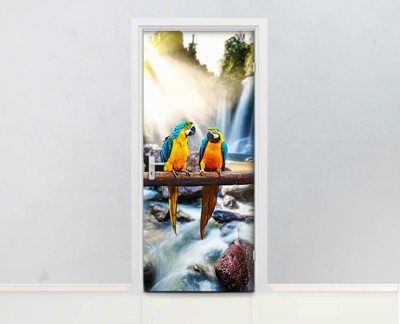 parrots-parrot-forest-wild-waterfall