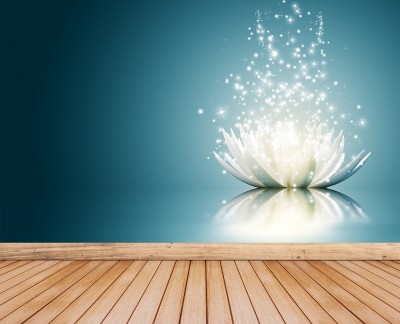 lotus-flower