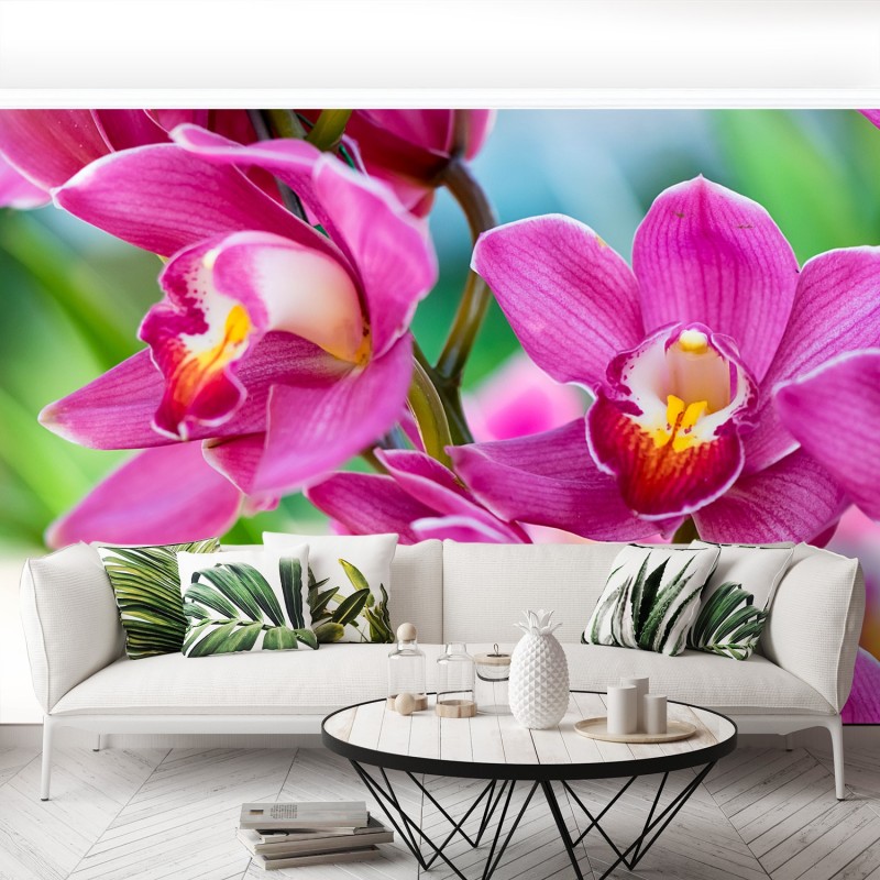 /Pink orchids Removable Wallpaper | LoccoDecals.com