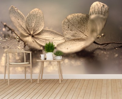 hydrangea-beige