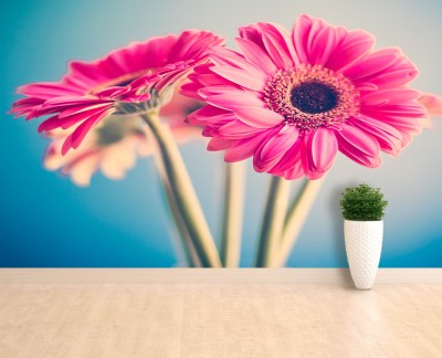 pink-flowers
