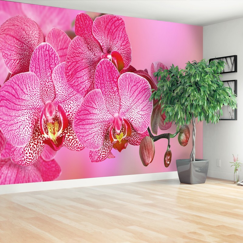 /Pink Orchid Removable Wallpaper | LoccoDecals.com
