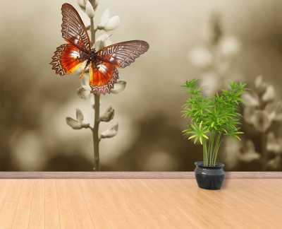 butterfly-flowers