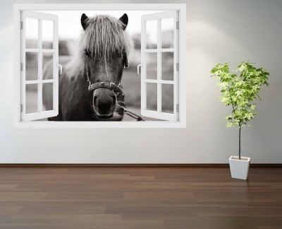 black-and-white-pony-horse-head-portrait