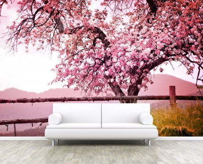 pink-blossom-tree-nature